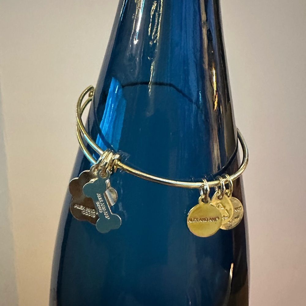 Alex & Ani silver “puppy love” expandable bracelet